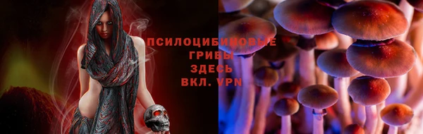 дурь Бронницы