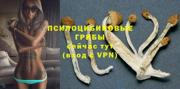 дурь Бронницы