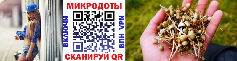 Купить где  Малоярославец  Галлюциногенные грибы Psilocybe 
